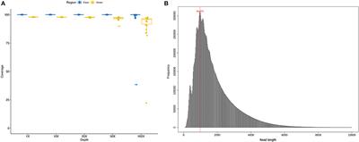 Corrigendum: Sequence and Structure Characteristics of 22 Deletion Breakpoints in Intron 44 of the DMD Gene Based on Long-Read Sequencing